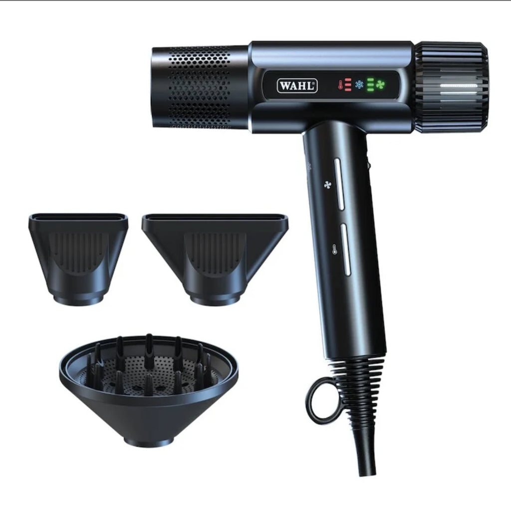 Wahl Föhn